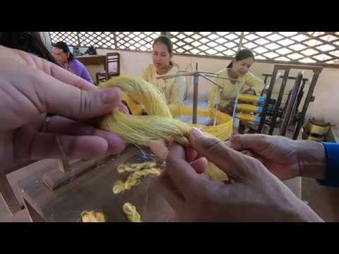 ទឹករស់នៅបន្ទាយស្រី៖ មួយថ្ងៃនៅក្នុងវាលផ្កាឈូក